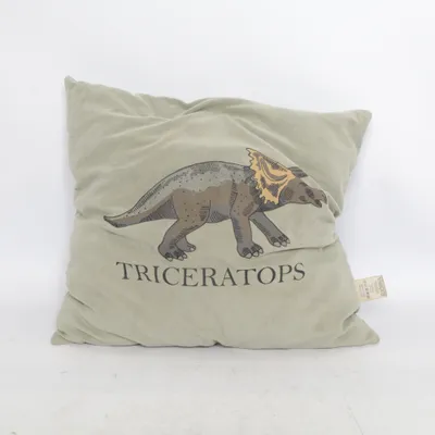Cushion (Green) from Björna Polyester