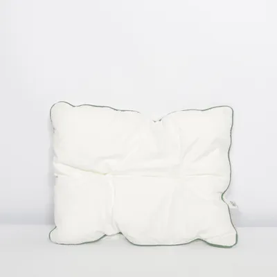 Oreiller (Blanc) de Eco Coton biologique, Polyester
