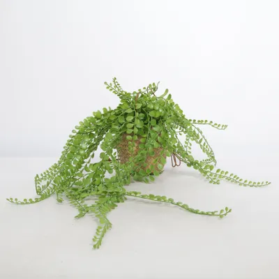Artificial plant (Green, Brown)