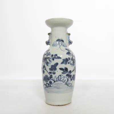 Vaas (Wit, Blauw)