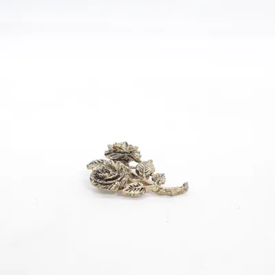 Broche (Argent) Métal inconnu