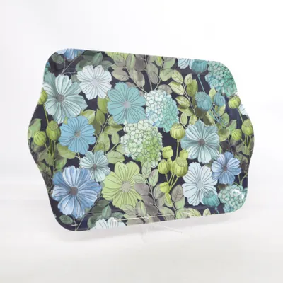 Tray (Blue, Green, Multicolored) from ICA