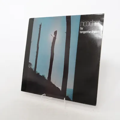Vinyl record