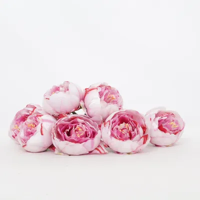 Kunstplant (Roze, Groen, Meerkleurig)
