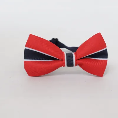 Noeud papillon (Bleu, Rouge, Blanc) de Lindex
