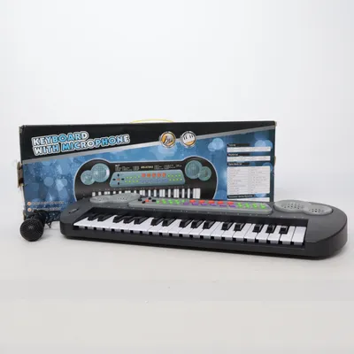 Legetøjsinstrument (Sort)