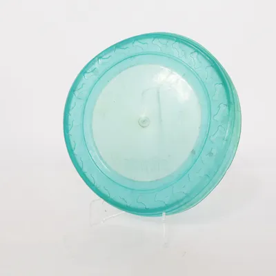 Dog toy (Turquoise) from Karlie