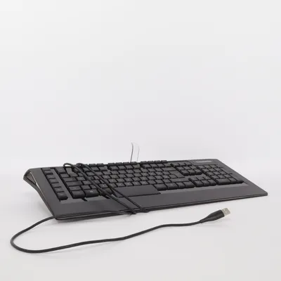 Tastatur (Apex Raw) fra Steelseries