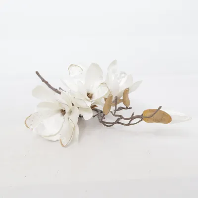 Artificial plant (White, Brown)