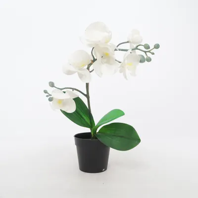 Artificial plant (Fejka) from IKEA