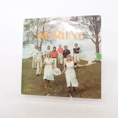 Vinylplaat