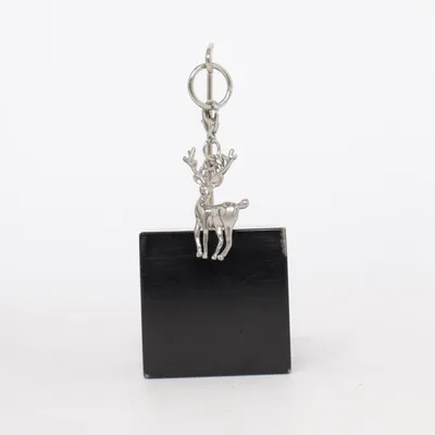 Charm (Silver) Unknown metal