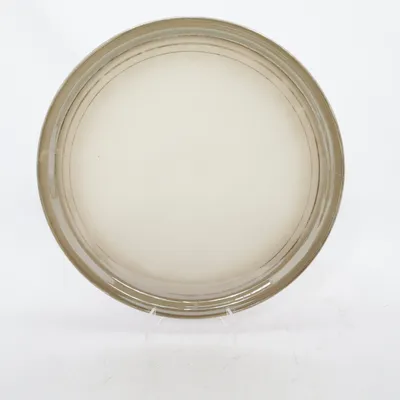 Assiette (Beige) de Zeh Scherzer