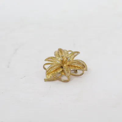 Broche (Or) Métal inconnu