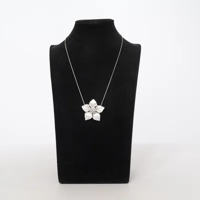 Necklace (Silver) Unknown metal
