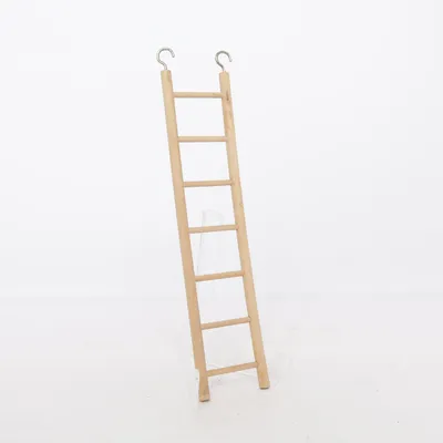 Pet accessory (Brown)