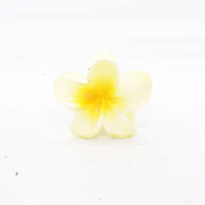 Pince à cheveux (Jaune, Beige)