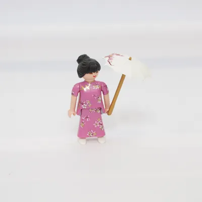 Action figure (Multicolored) from Playmobil