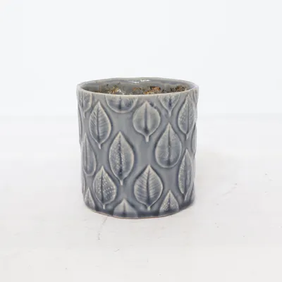 Pot (Gris) de 2Have