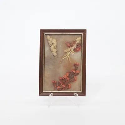 Wanddecoratie (Bruin, Meerkleurig)