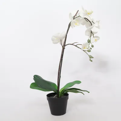 Plante artificielle (Fejka) de IKEA