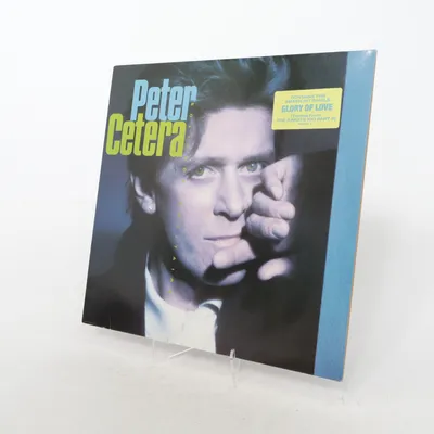 Vinyl record