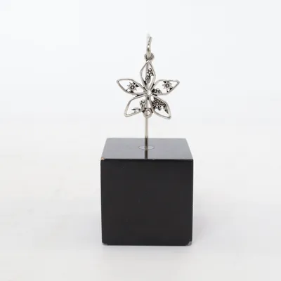 Pendentif (Argent) Métal inconnu