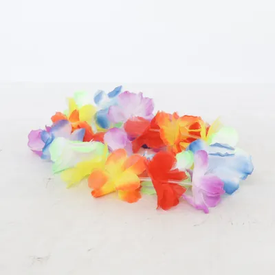 Costume accessories (Multicolored)