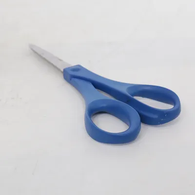 Scissor (Blue, Silver) from Esselte