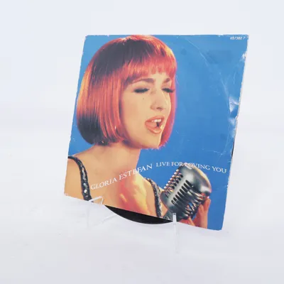 Vinylskiva