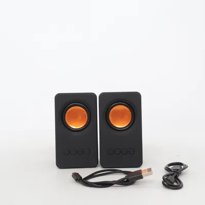 Speaker (Zwart, Oranje)