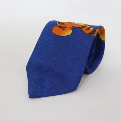 Slips (Blå, Flerfärgad) från Tie Rack