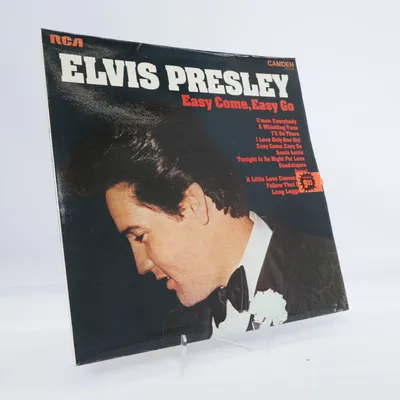 Vinylplade