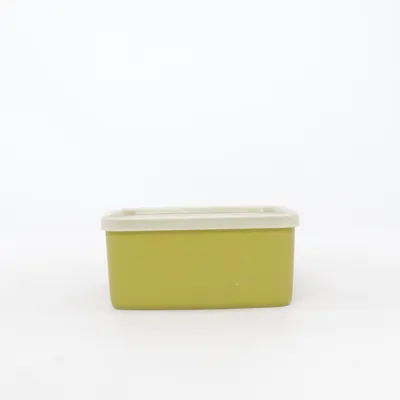 Boîte à déjeuner (Vert) de Tupperware