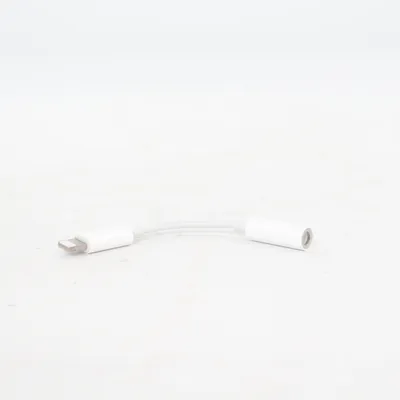 Câble AUX de Apple