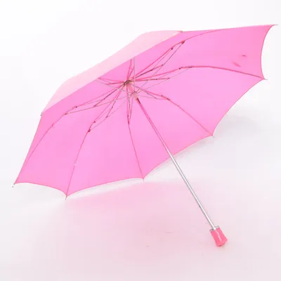 Parapluie (Rose)