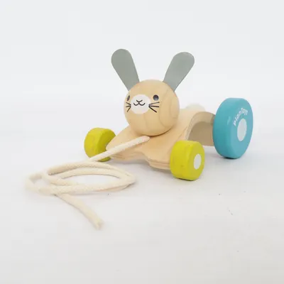 Trekfiguur (Blauw, Groen, Meerkleurig) van PlanToys