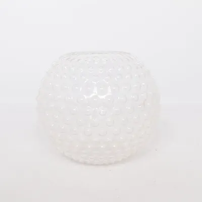 Vase (Transparent)