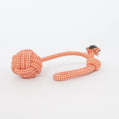 Jouet pour chien (Orange, Blanc)
