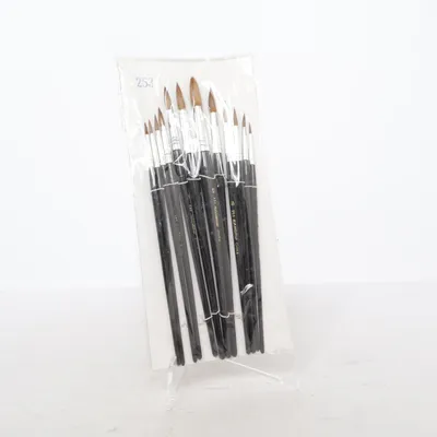 Artist brush (253) from Kangrui