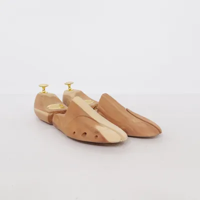Embauchoirs (Marron) de Schlesinger