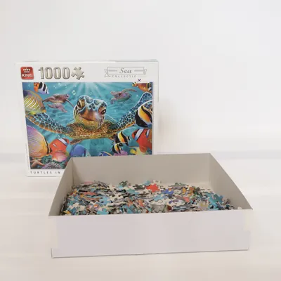 Puzzle de King