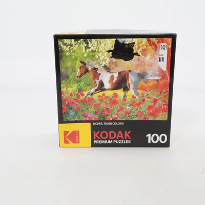 Puzzel van Kodak