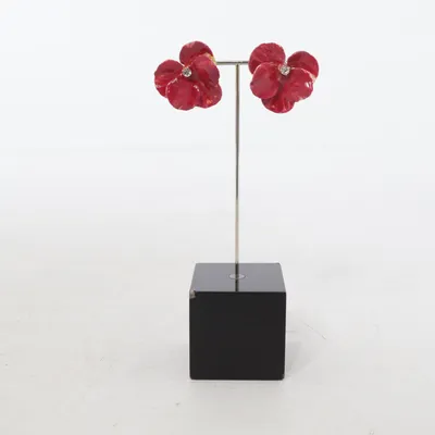 Boucles d'oreilles (Rouge) Métal inconnu