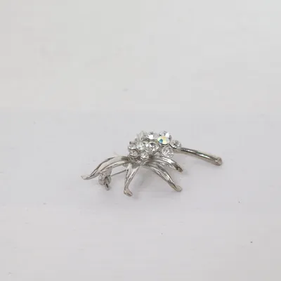 Broche (Zilver) Onbekend materiaal