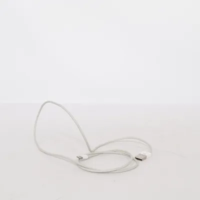 USB kabel van Apple