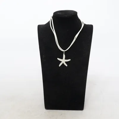 Halsband (Vit) Okänd metall