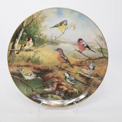 Muurplaat (1992 Vogel Sammelteller Porzellan Tiere) van Bavaria Tirschenreuth