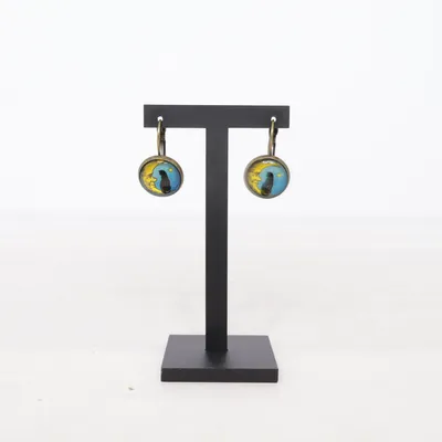 Oorbellen (Meerkleurig) Onbekend materiaal