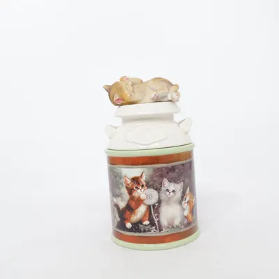 Burk (Cozy Kittens Canister Set) från The Bradford Exchange